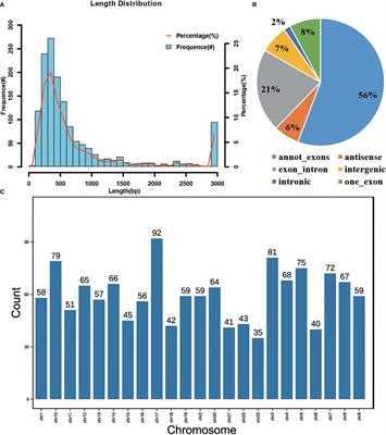 Identification and characterization of circRNAs from different body color leopard coral grouper (Plectropomus leopardus)